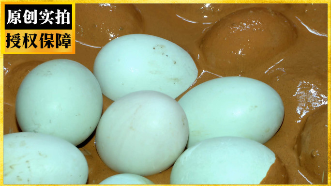 海鸭蛋皮蛋制作