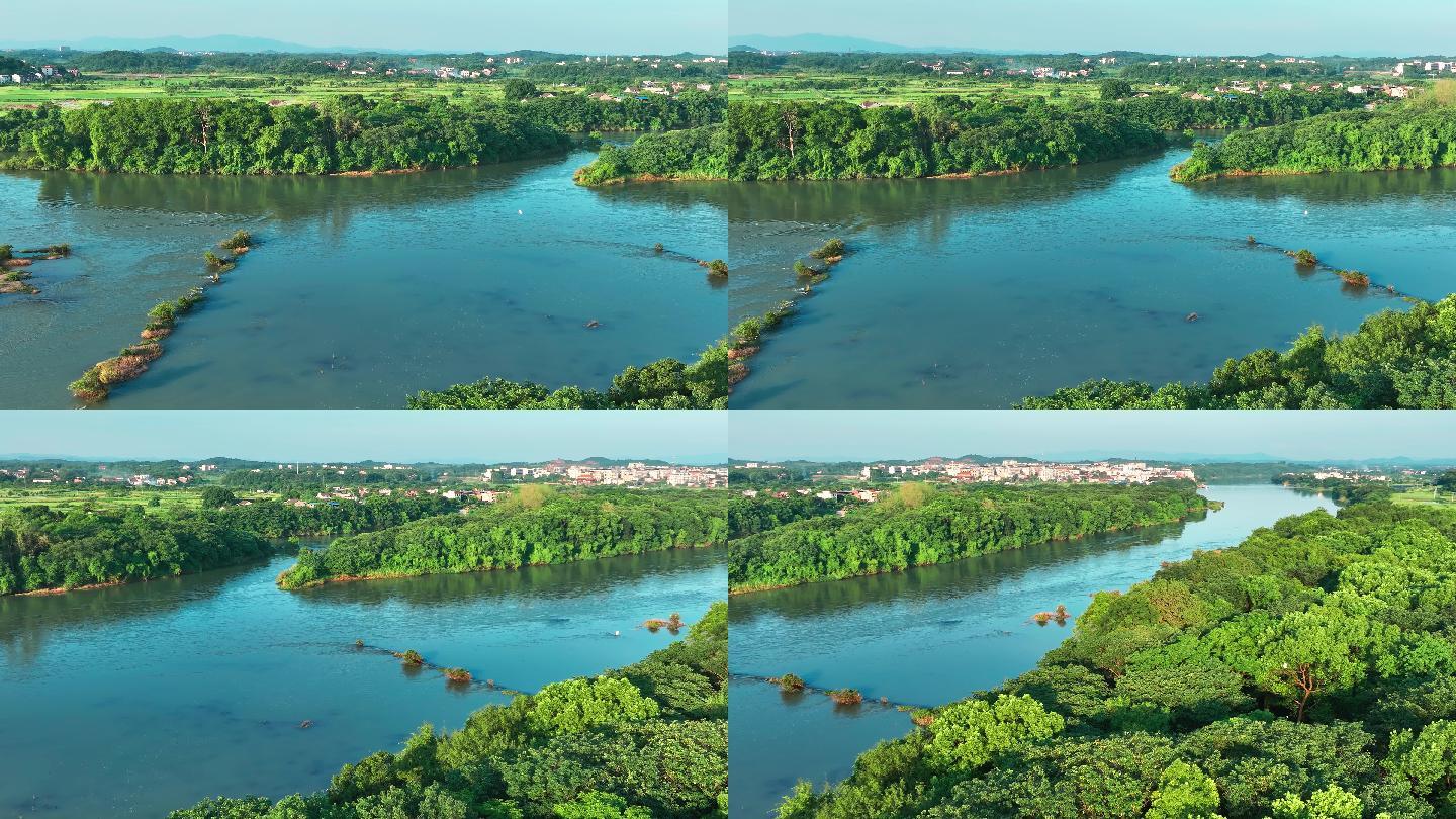 2022江口鸟洲自然保护区游玩攻略,衡南县的江口鸟州自然保护区...【去哪儿攻略】
