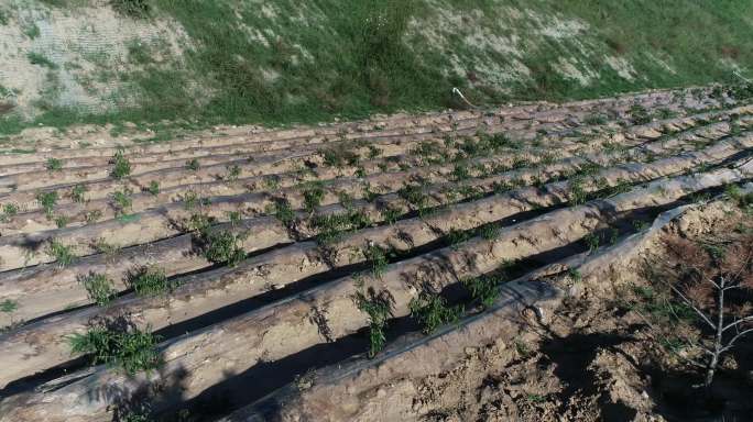 梯田土壤改良工程土壤修复矿区生态恢复治理
