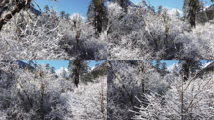 四川洪雅瓦屋山冰雪风光