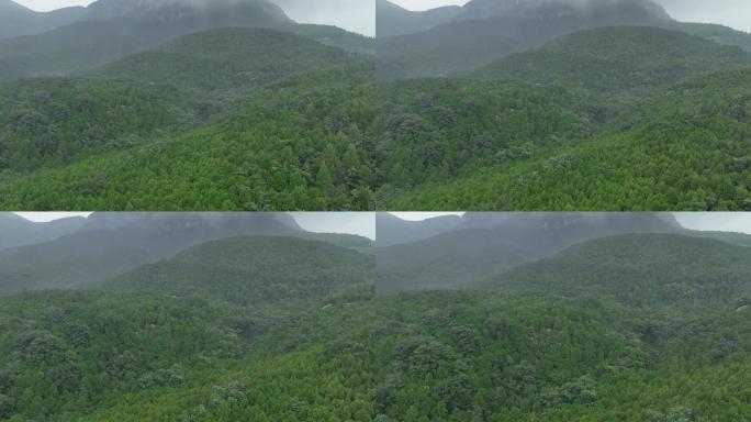 大山深处青山绿化森林仙境航拍4k