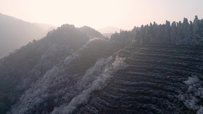 4K南岳春夏秋冬四季美景