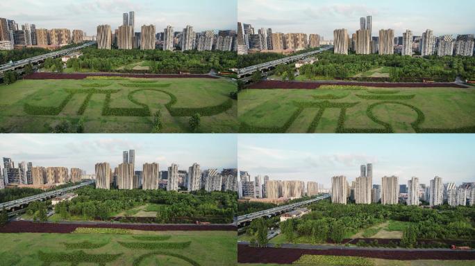 杭州滨江奥体中心杭州标志的大草坪航拍