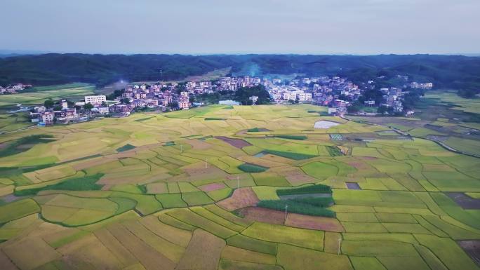 乡村振兴航拍新农村（乡村村落稻田航拍）