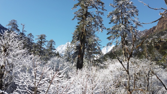 四川洪雅瓦屋山冰雪风光