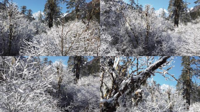 四川洪雅瓦屋山冰雪风光