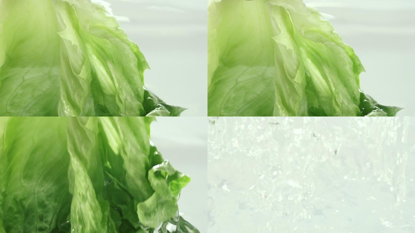 高速拍摄小青菜从水中提起出水