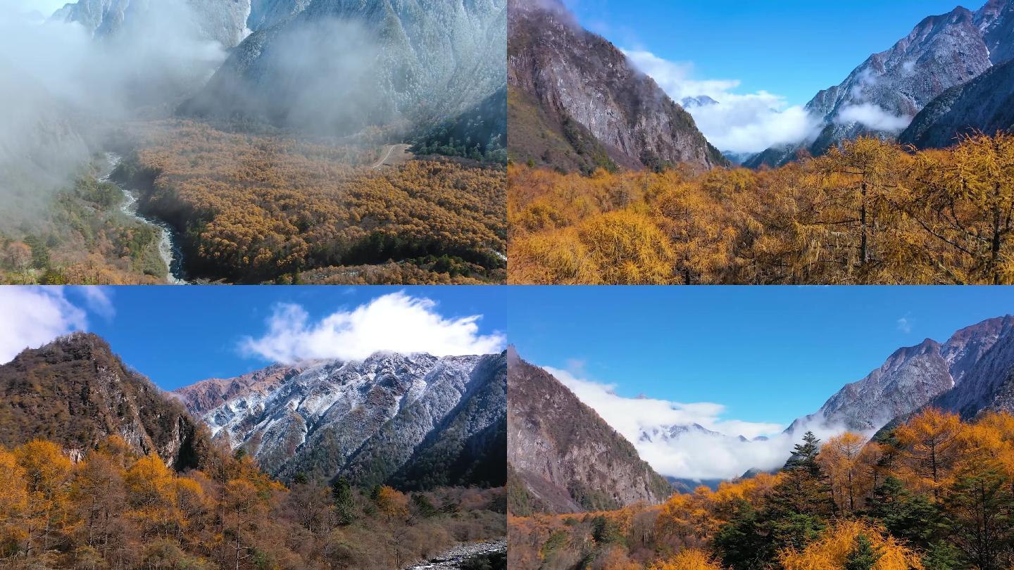 云雾缭绕巍峨雪山彩林蓝天白云航拍大景