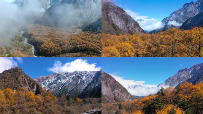 云雾缭绕巍峨雪山彩林蓝天白云航拍大景