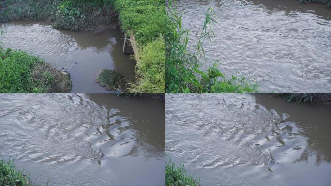 河流污染4k