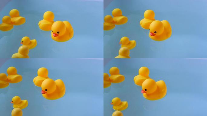 小黄鸭游泳