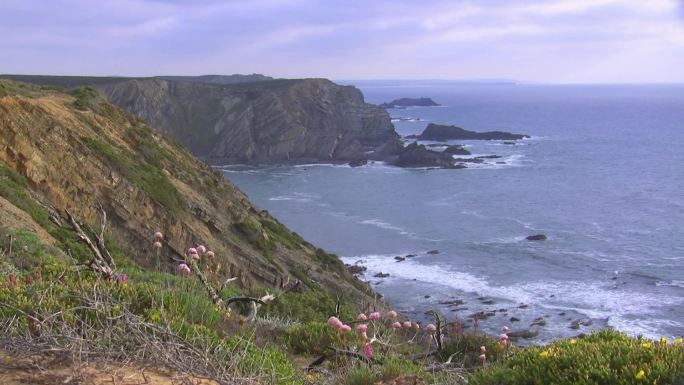 海边陡峭裸露的悬崖和水中岩石的景色；海湾，海浪拍打着海滩；前景是一片五颜六色的花草地，在绿色草地和枯