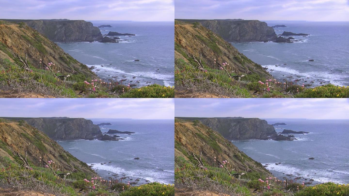 海边陡峭裸露的悬崖和水中岩石的景色；海湾，海浪拍打着海滩；前景是一片五颜六色的花草地，在绿色草地和枯