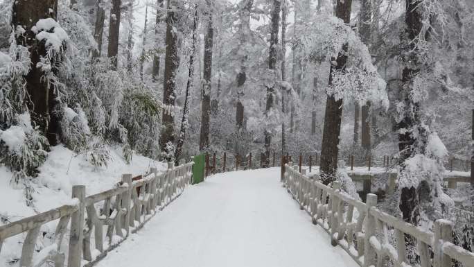 四川洪雅瓦屋山冰雪风光