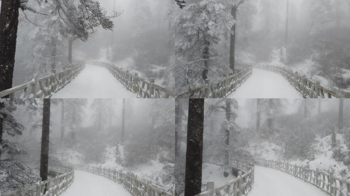 四川洪雅瓦屋山冰雪风光