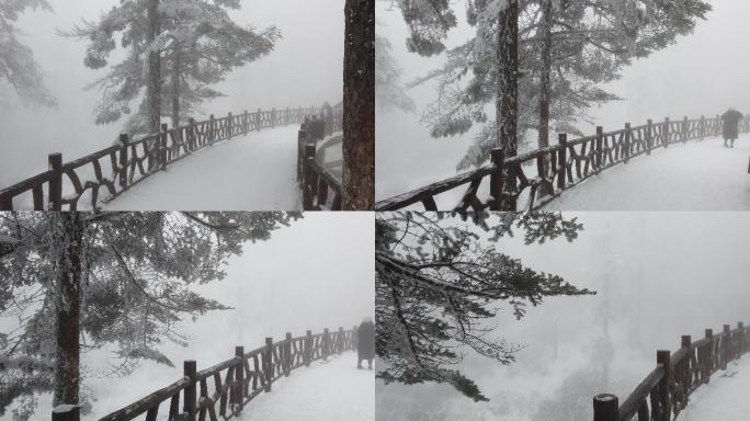 四川洪雅瓦屋山冰雪风光