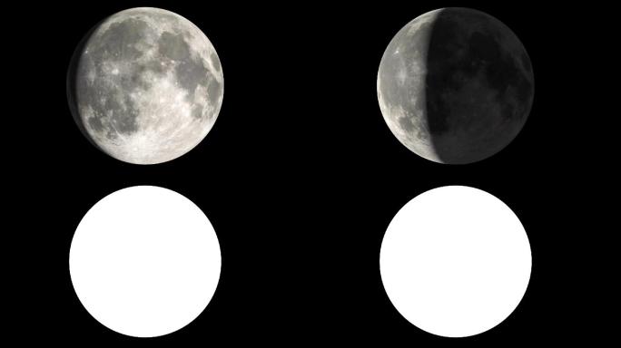 月亮的所有相位-Cg循环和蒙面动物