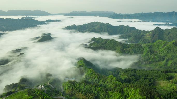 湖北恩施利川星斗山大毛坡云海4K