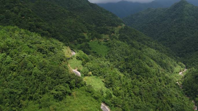 林荫道  航拍  山间小路