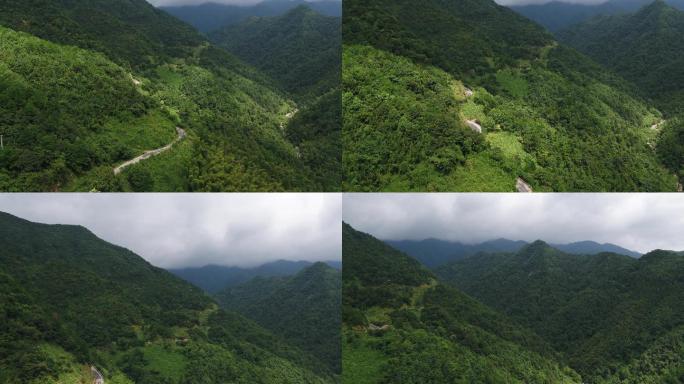 林荫道  航拍  山间小路