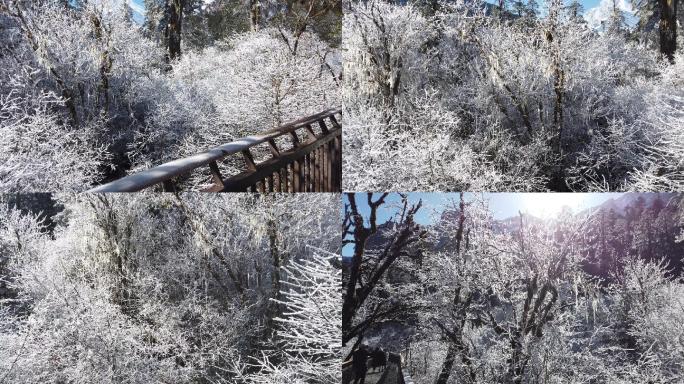 四川洪雅瓦屋山冰雪风光