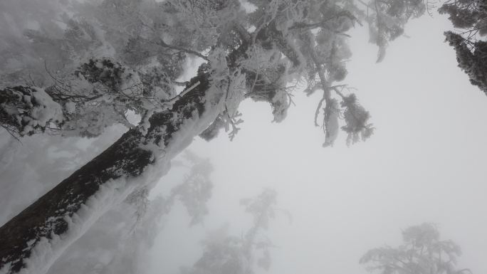 四川洪雅瓦屋山冰雪风光