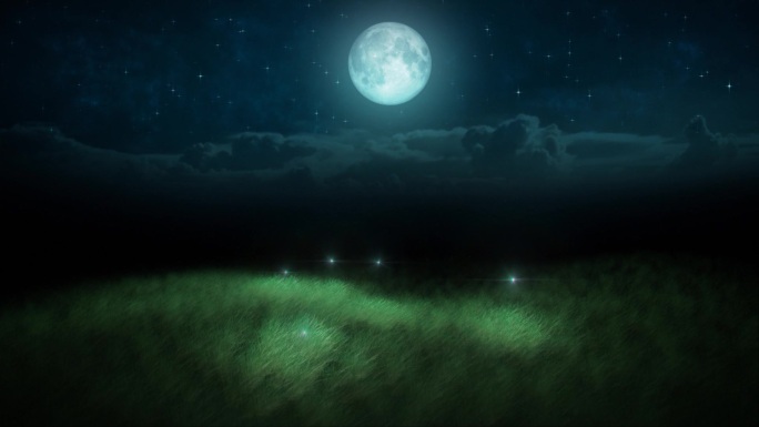 夜晚的萤火虫和月亮环
