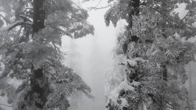 四川洪雅瓦屋山冰雪风光