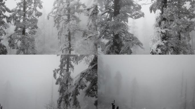 四川洪雅瓦屋山冰雪风光