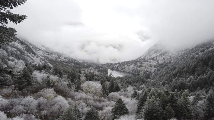 四川洪雅瓦屋山冰雪风光