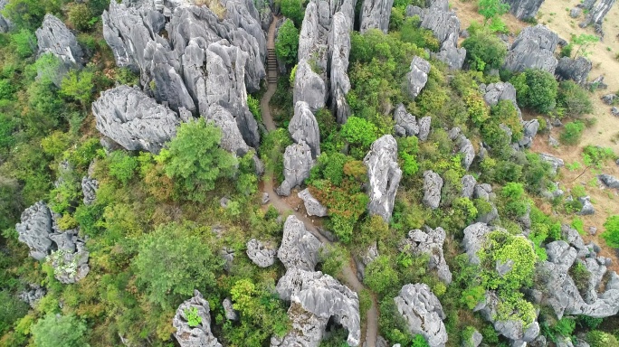 4K昆明石林风景区