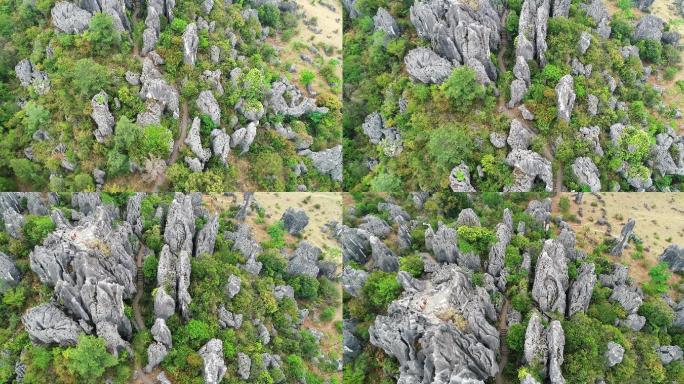 4K昆明石林风景区