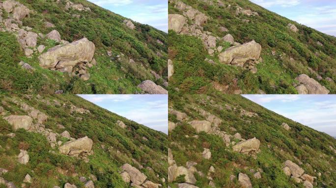 山上的山羊在岩石峭壁上爬行山上石头羊群