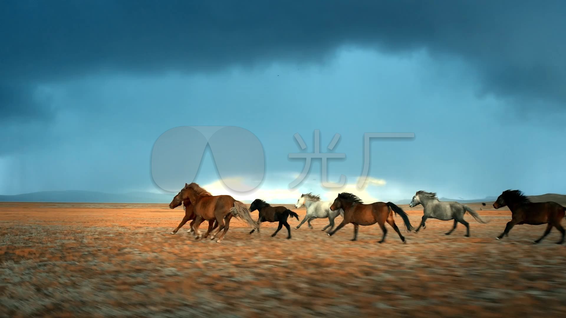 马 grasing 山 绿坡 绿色草原 原野 天空 绿树图片下载 - 觅知网