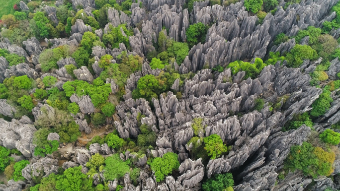 4K昆明石林风景区