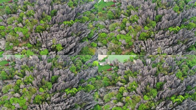 4K昆明石林风景区