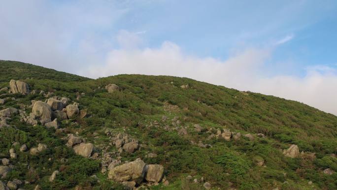 山峰山上飞鸟半山腰一只鸟飞过