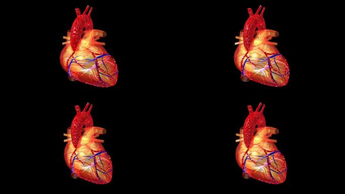 【原创】跳动的心脏