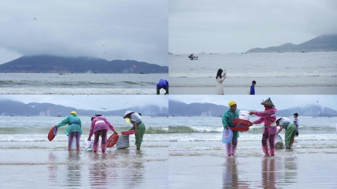 海鸥 沙滩与渔民