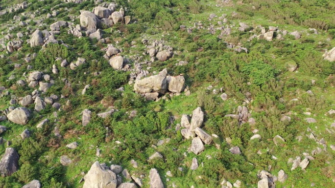 山上的山羊在岩石峭壁上爬行山上石头羊群