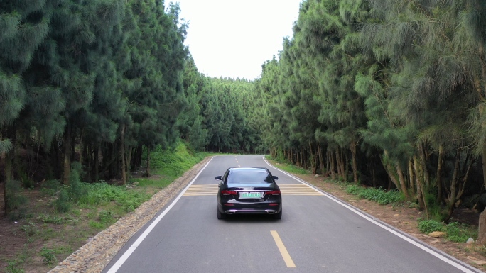 汽车公路尽头驶来汽车行驶在树林森林公路中