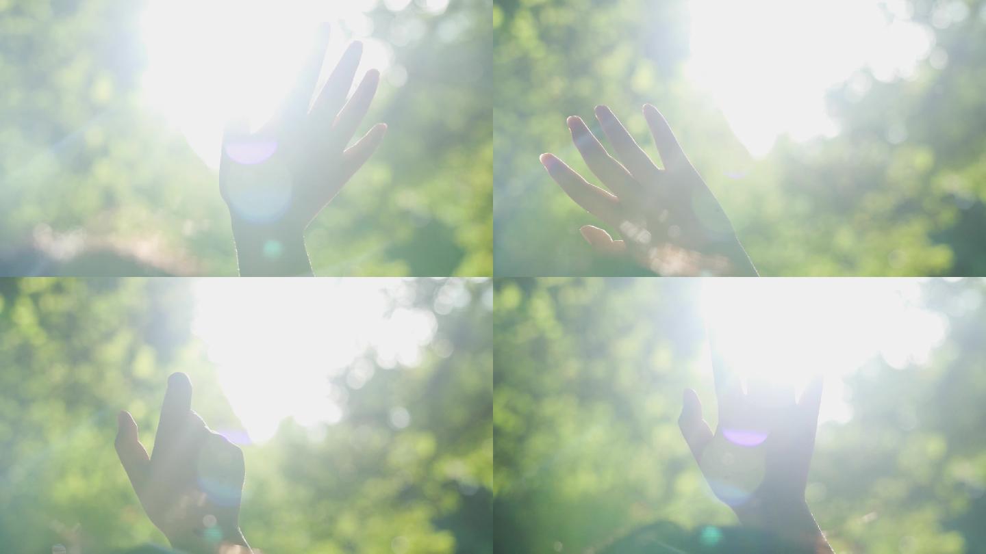 唯美手指触摸阳光拥抱自然希望梦想概念意境