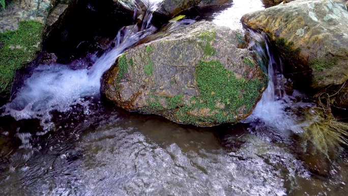 小溪流水视频