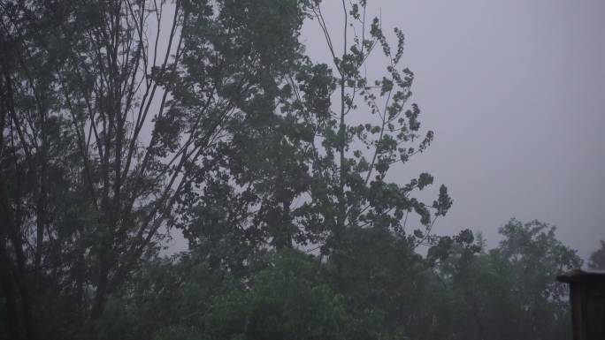 狂风暴雨天气电闪雷鸣乌云翻滚暴风雨倾盆