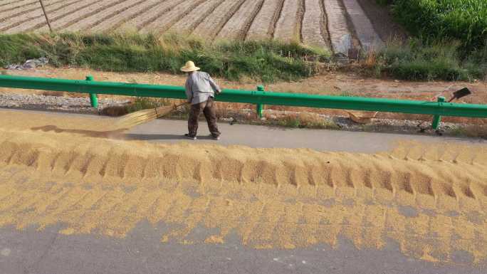 俯拍农村占路晾晒小麦