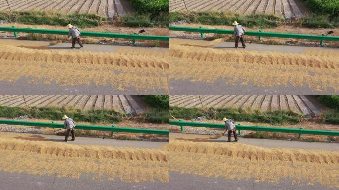 俯拍农村占路晾晒小麦