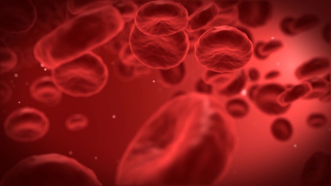 前面有一个红细胞的人血细胞