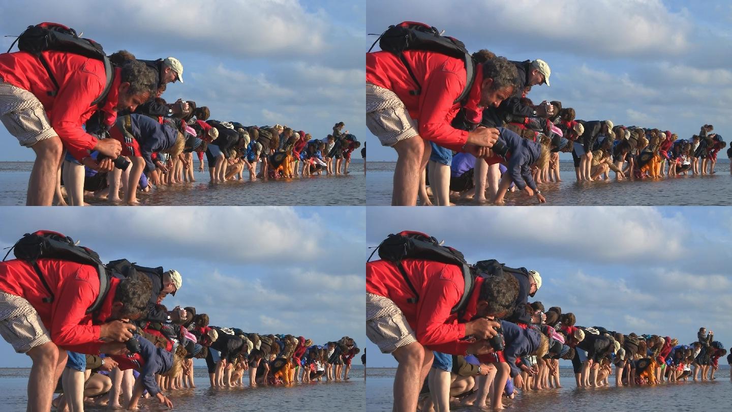 在瓦登海徒步旅行