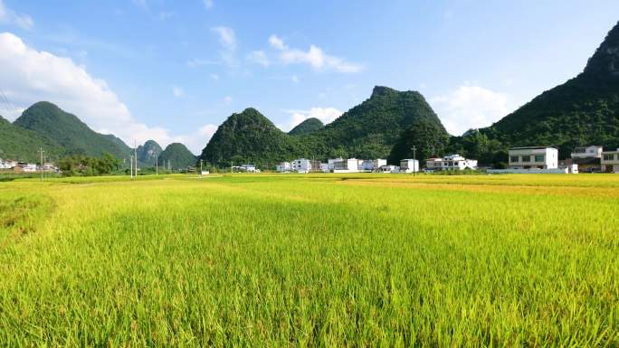 路途风景美丽乡村