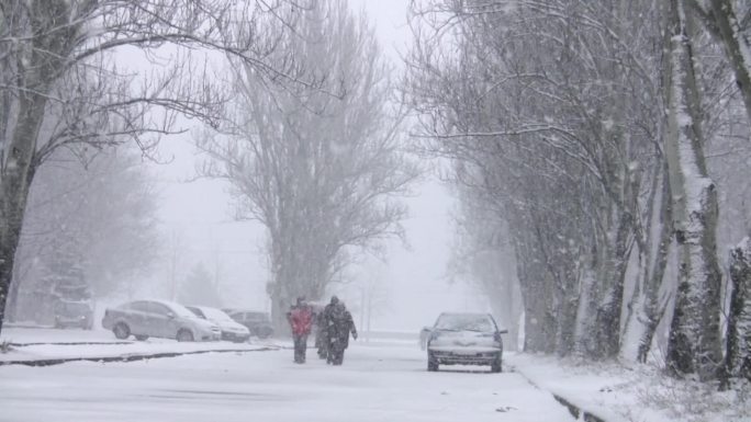 公园里下雪